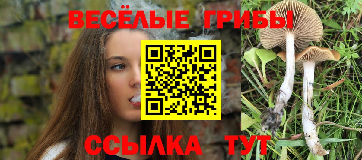 Псилоцибиновые грибы Psilocybine cubensis  Галлюциногенные грибы Cubensis  Вход с VPN  Белогорск 